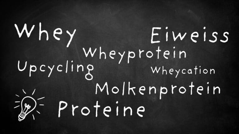 Whey What?! Alles, was du über Whey, Molke, Protein und Wheycation wissen musst.